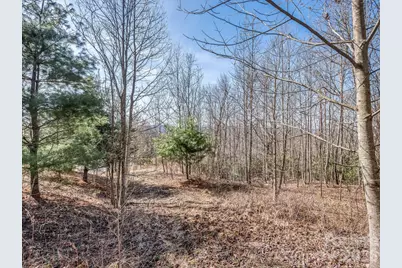 142 Mountain Elder Lane #79, Hendersonville, NC 28739 - Photo 8