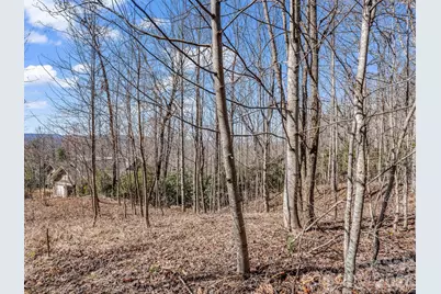 142 Mountain Elder Lane #79, Hendersonville, NC 28739 - Photo 2