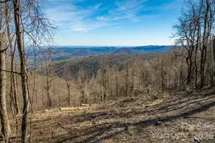 7596 Walkertop Mountain Overlook Dr, Morganton, NC 28655 - Photo 1