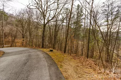99999 Hawk View Drive #7, Asheville, NC 28804 - Photo 6