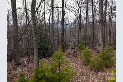 161 Starling Road, Lake Lure, NC 28746 - Photo 16