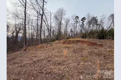 161 Starling Road, Lake Lure, NC 28746 - Photo 6