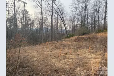 161 Starling Road, Lake Lure, NC 28746 - Photo 20