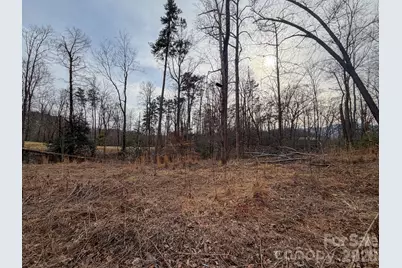 161 Starling Road, Lake Lure, NC 28746 - Photo 28