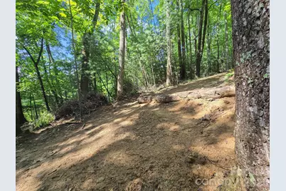 Tbd Davenport Hills Road, Hendersonville, NC 28739 - Photo 20