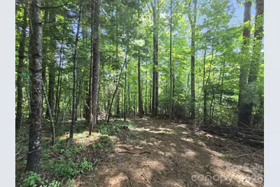 Tbd Davenport Hills Road, Hendersonville, NC 28739 - Photo 16