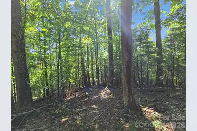 Tbd Davenport Hills Road, Hendersonville, NC 28739 - Photo 24