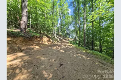 Tbd Davenport Hills Road, Hendersonville, NC 28739 - Photo 18