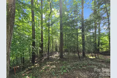 Tbd Davenport Hills Road, Hendersonville, NC 28739 - Photo 22