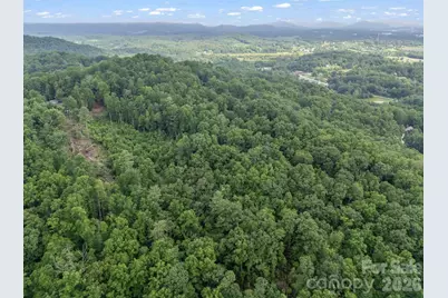 Tbd Davenport Hills Road, Hendersonville, NC 28739 - Photo 8