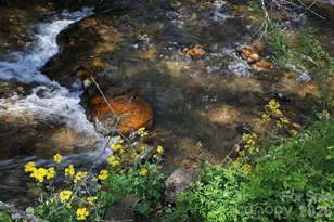 17 Resada Dr, Brevard, NC 28712 - Photo 34