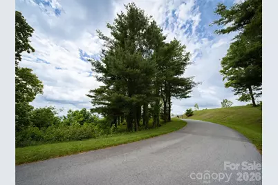 #178 Dancing Bear Drive, Hendersonville, NC 28792 - Photo 8