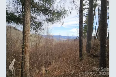 #178 Dancing Bear Drive, Hendersonville, NC 28792 - Photo 1