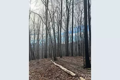 99999 Chesterfield Drive #176, Mill Spring, NC 28756 - Photo 14