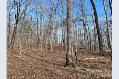99999 Chesterfield Drive #176, Mill Spring, NC 28756 - Photo 2