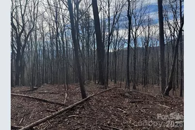 99999 Chesterfield Drive #176, Mill Spring, NC 28756 - Photo 10