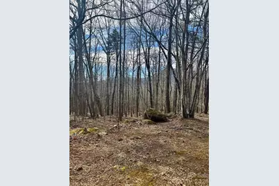 99999 Chesterfield Drive #176, Mill Spring, NC 28756 - Photo 4