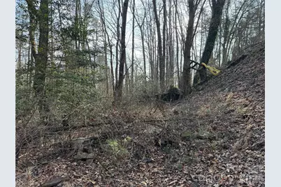 481 Fisher Road, Brevard, NC 28712 - Photo 12