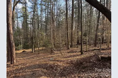 481 Fisher Road, Brevard, NC 28712 - Photo 10