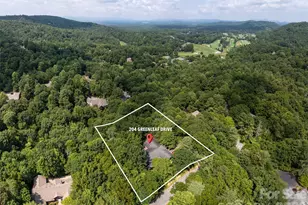 204 Greenleaf Dr, Flat Rock, NC 28731 - Photo 44