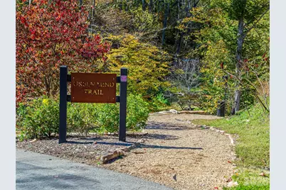 511 Wilma Dykeman Trail, Asheville, NC 28804 - Photo 40