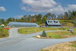 511 Wilma Dykeman Trl, Asheville, NC 28804 - Photo 44