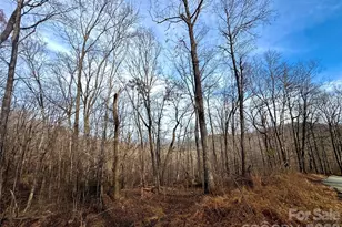 0 Peartree Dr, Lake Lure, NC 28746 - Photo 1