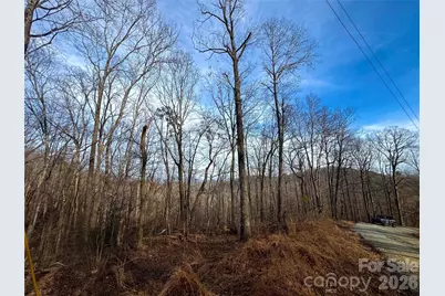 0 Peartree Drive, Lake Lure, NC 28746 - Photo 2