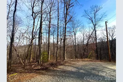 0 Peartree Drive, Lake Lure, NC 28746 - Photo 8