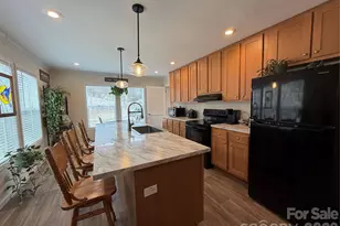 4958 Grapevine Rd, Marshall, NC 28753 - Photo 22