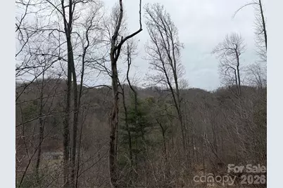 4958 Grapevine Road, Marshall, NC 28753 - Photo 18