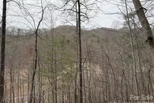 4958 Grapevine Rd, Marshall, NC 28753 - Photo 20