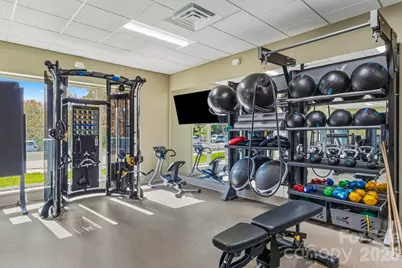 207 Unvquolad Court #L87/U29, Brevard, NC 28712 - Photo 14