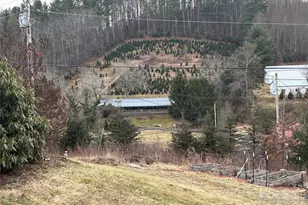 190 Benfield Rd, Crossnore, NC 28616 - Photo 28