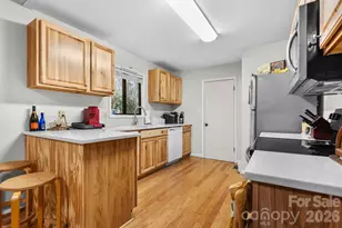 366 Dove Cir, Boone, NC 28607 - Photo 10