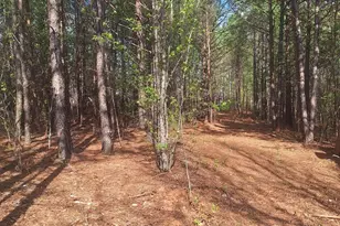 0 King Wilkinson Rd, Denver, NC 28037 - Photo 1