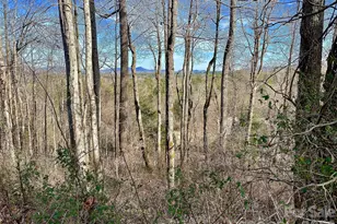 174 High Road Overlook None, Hendersonville, NC 28739 - Photo 1