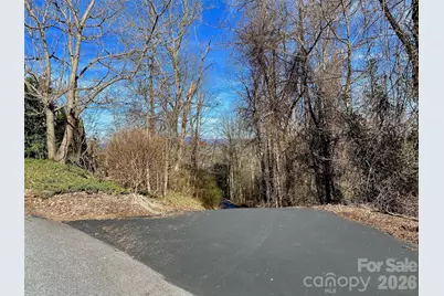 174 High Road Overlook None #24, Hendersonville, NC 28739 - Photo 2