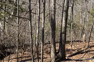 104 Smoke House Wy, Burnsville, NC 28714 - Photo 2