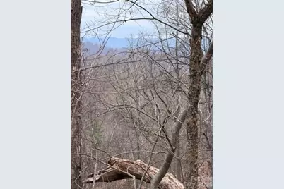 201 Glen Valley Drive, Weaverville, NC 28787 - Photo 4