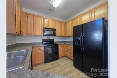 10619 Trolley Run Drive, Cornelius, NC 28031 - Photo 4