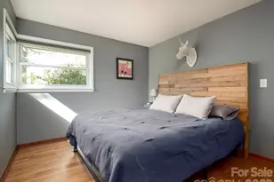 317 Allison Rd, Brevard, NC 28712 - Photo 14