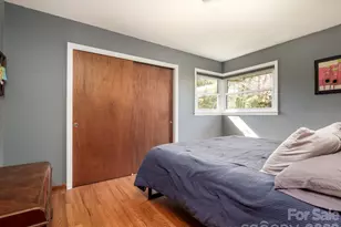 317 Allison Rd, Brevard, NC 28712 - Photo 14