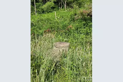 676 Big Helton Road #2, Grassy Creek, NC 28631 - Photo 30