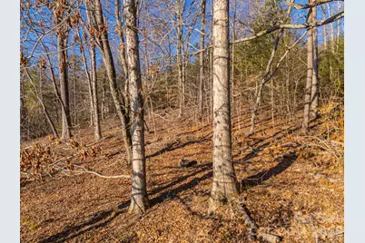 Tbd Mystic View Lane, Black Mountain, NC 28711 - Photo 24