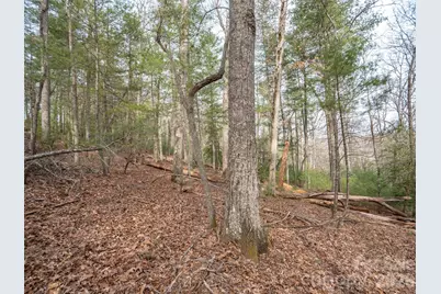 9999 Cedar Hill Drive #12, Asheville, NC 28803 - Photo 14