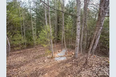 9999 Cedar Hill Drive #12, Asheville, NC 28803 - Photo 8