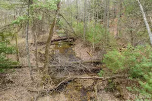 9999 Cedar Hill Dr, Asheville, NC 28803 - Photo 26