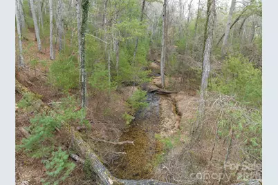 9999 Cedar Hill Drive #12, Asheville, NC 28803 - Photo 34