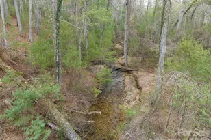 9999 Cedar Hill Dr, Asheville, NC 28803 - Photo 34